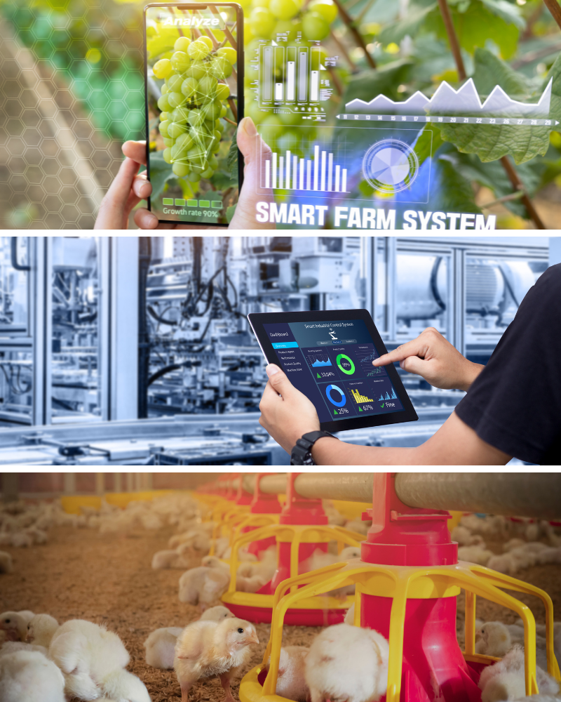 smart_farming